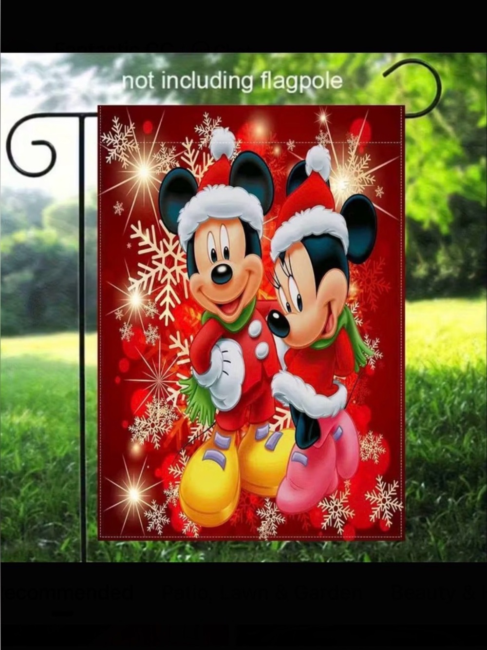 Winter Mickey & Minnie Flag
